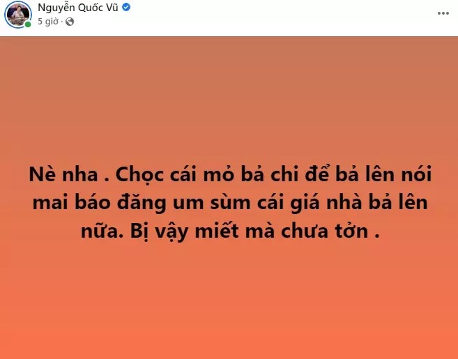 Động thái anh Vũ khi vợ bị chỉ trích.