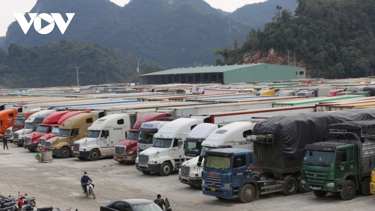 Hiện trên địa bàn tỉnh Lạng Sơn còn tồn hơn 1.100 xe hàng, trong đó lượng xe chở hoa quả chiếm khoảng 68%.