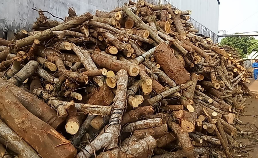 Năm Cam cứ ngỡ rằng ngoài cha mẹ và chị Tư Xẩm, chẳng còn ai là bà con trên mảnh đất phương Nam này. Vào một buổi chiều tối, Năm Cam và Tư Xẩm được ông Bưởi giới thiệu với người đàn bà chủ vựa củi ngoài chợ Xóm Chiếu và được đeo tang ông chồng của bà này vừa qua đời. Từ đó, trong trí óc non nớt của Năm Cam đã ghi nhận được rằng cha y có một người em gái tên Trương Thị Quýt. (Ảnh minh hoạ)