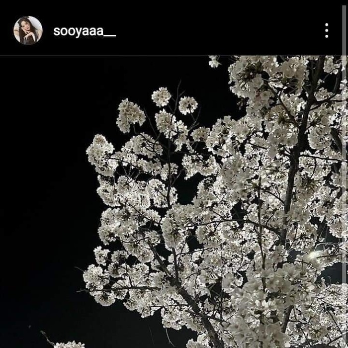 Cả hai đăng tải chỉ sau 1 ngày