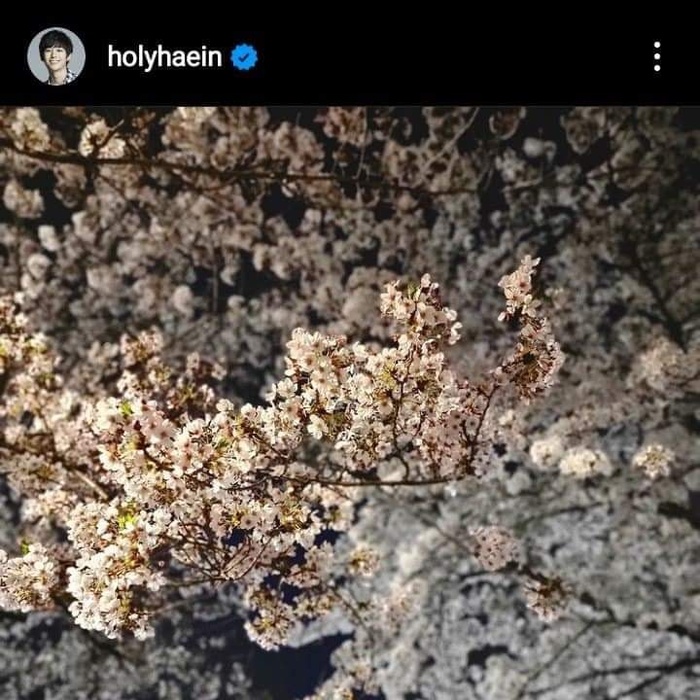 Khung cảnh lãng mạn dưới bầu trời đêm