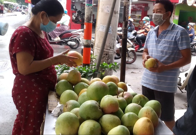 Xoài Úc khá lạ lẫm với người tiêu dùng TP HCM