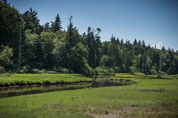 Khu vực nơi tìm thấy thi thể của sao nữ 16 tuổi.