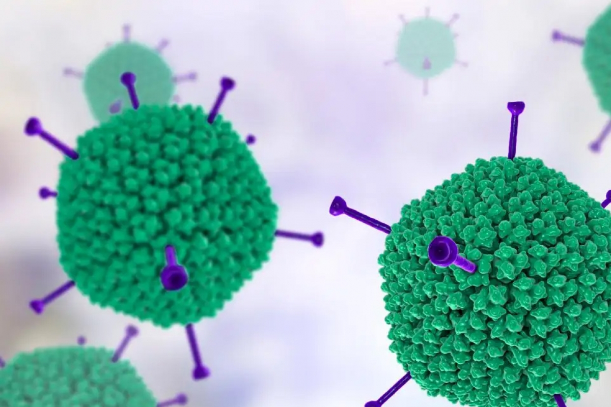 Ảnh minh họa: New Scientist