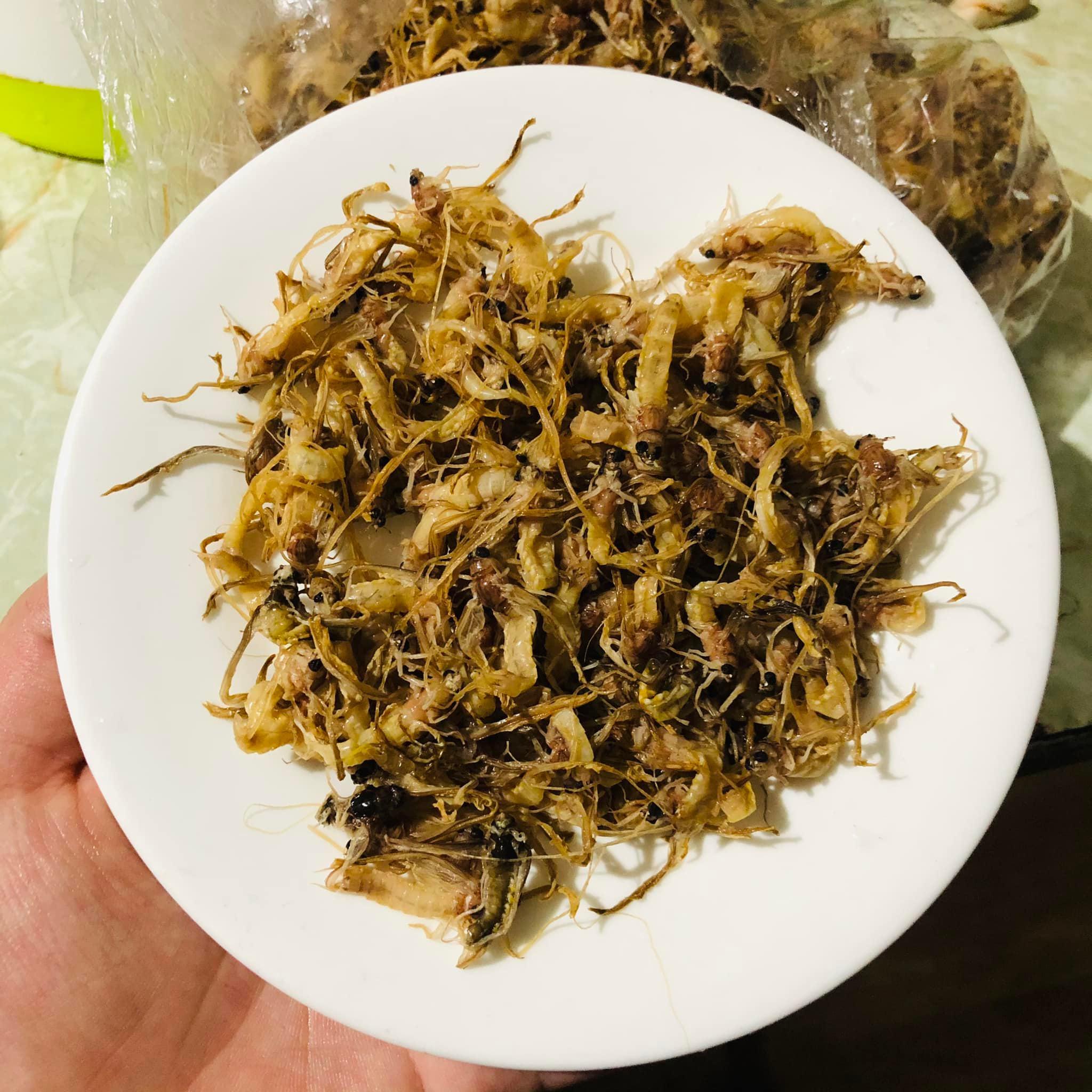 Từ loài côn trùng vật vờ trên mặt sông, con vờ lên bàn nhậu thành đặc sản hút khách, giá nửa triệu đồng/kg (Ảnh: Lê Hoài).