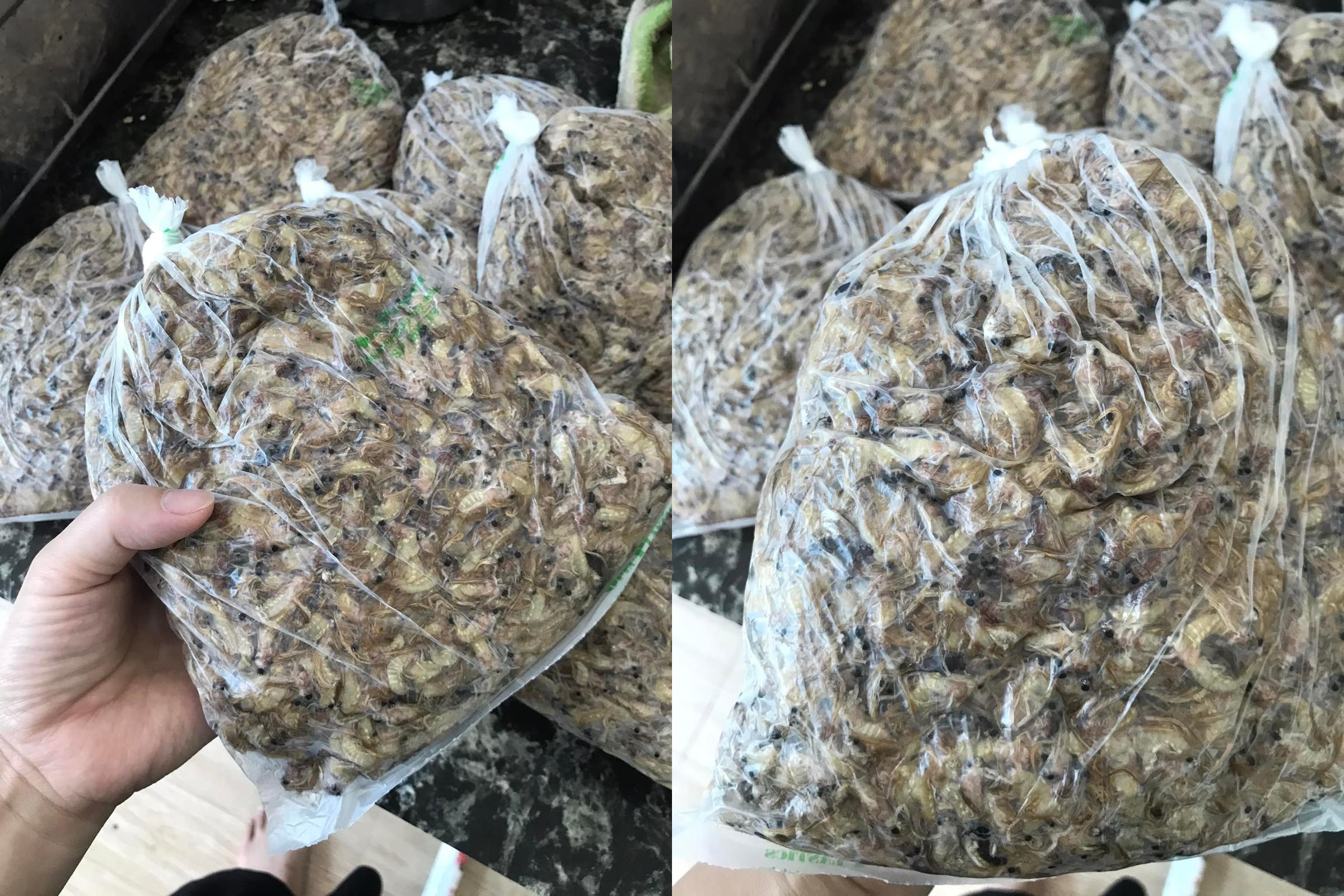 Mỗi năm chỉ có vài lần vờ xuất hiện nên thực khách thường mua vờ về cất trữ, chế biến dần (Ảnh: Ngọc Phúng Phính).