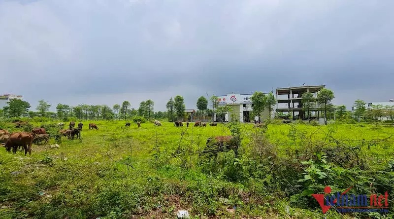 Trong quá trình triển khai, dự án khu đô thị Thanh Hà có nhiều vi phạm về trật tự xây dựng như: xây dựng chưa có giấy phép, thi công sai quy hoạch... Hà Nội yêu cầu giám sát việc dừng thi công xây dựng toàn bộ các công trình tại dự án