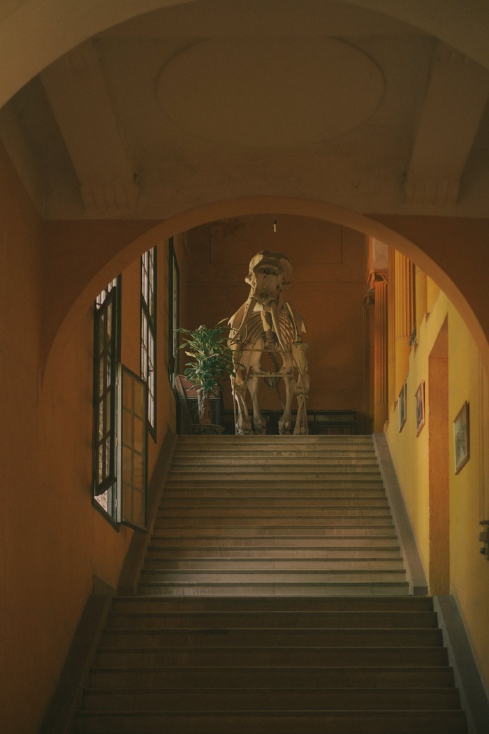 Một góc của ngôi trường Đại học Dược Hà Nội. Ảnh: Nguyen Thanh Luan.