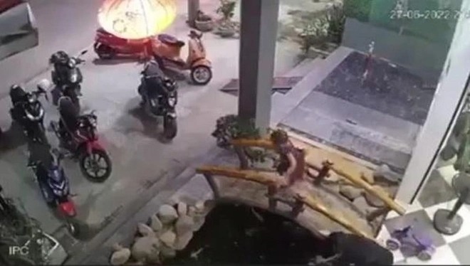 Cháu bé rơi bể cá trong quán cà phê đuối nước thương tâm.