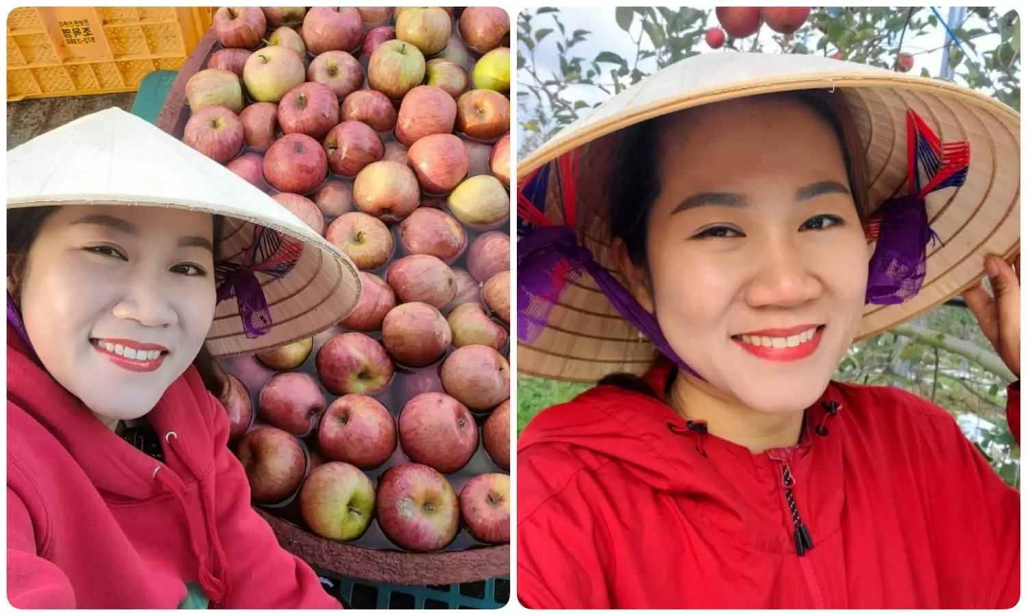 Chị Thái phụ chồng chăm vườn táo rộng lớn.