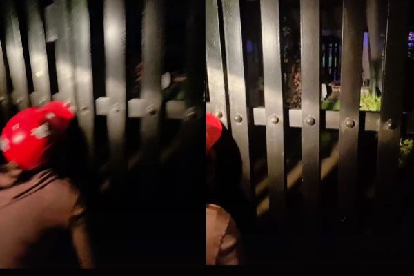  Thợ trang điểm gọi cổng nhà cô dâu nhưng cũng chẳng thấy bóng dáng ai. (Ảnh: Chụp màn hình TikTok N.C.T)