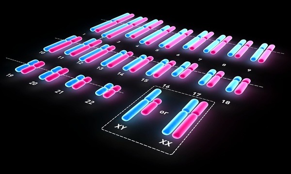  Cơ thể chị Thái có chứa nhiễm sắc thể XY, vốn chỉ tìm được ở nam giới. (Ảnh minh họa: VCG)