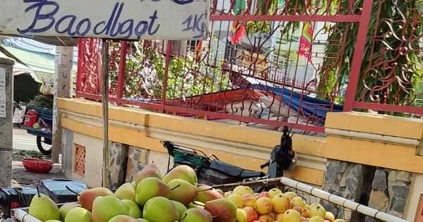 Táo mini được bán tại TP HCM