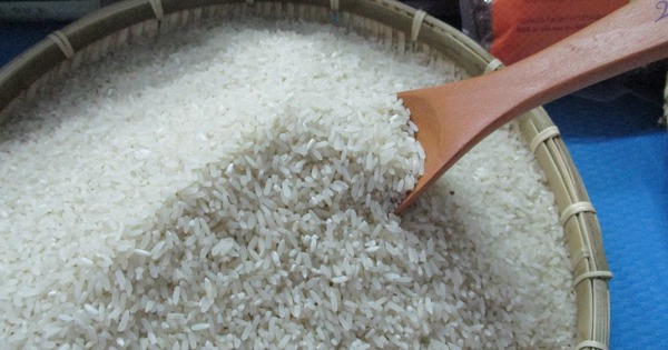 Thị trường gạo tác động mạnh bởi động thái mới của Ấn Độ