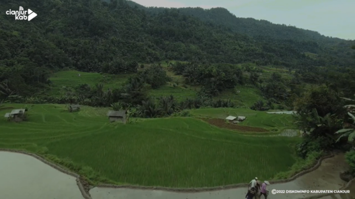 Ngôi làng Miduana xinh đẹp và hiền hòa tại Tây Java. Nguồn: Merdaka