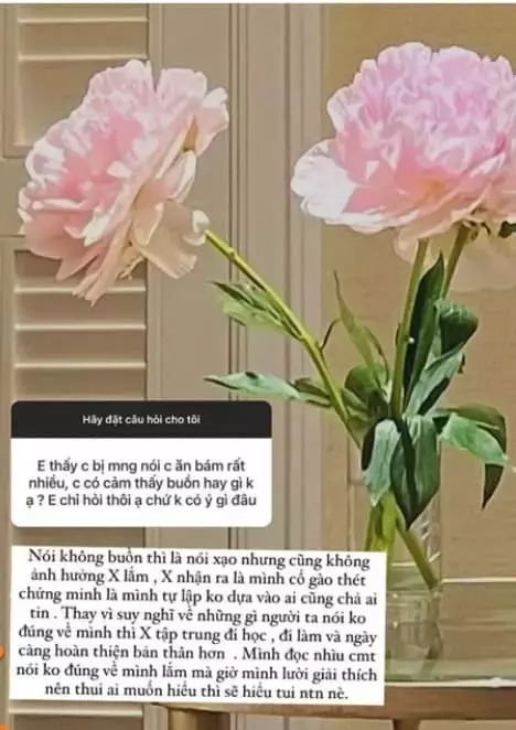 Xoài Non 5 lần 7 lượt bị nói 