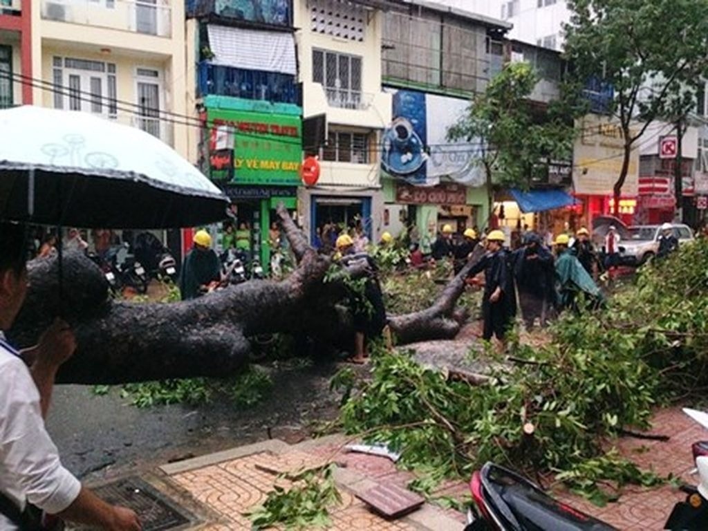 Ảnh minh họa/Nguồn: Internet