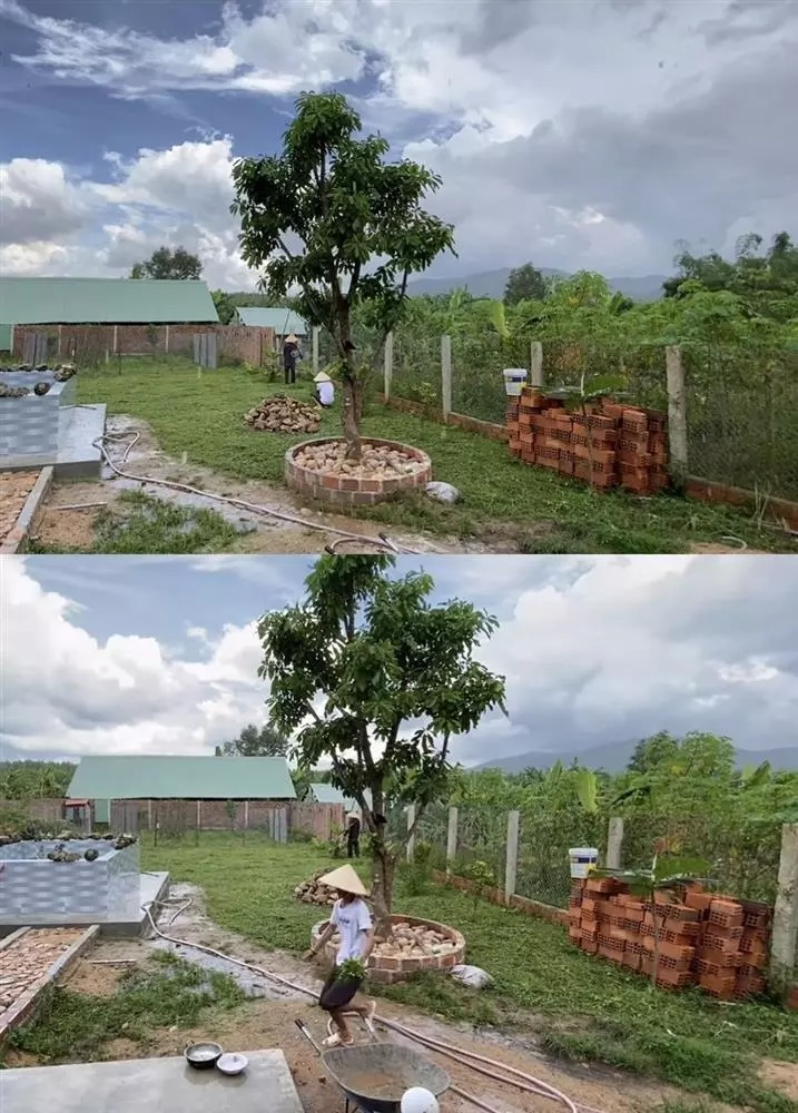 Khu vực vườn sau nhà cũng 