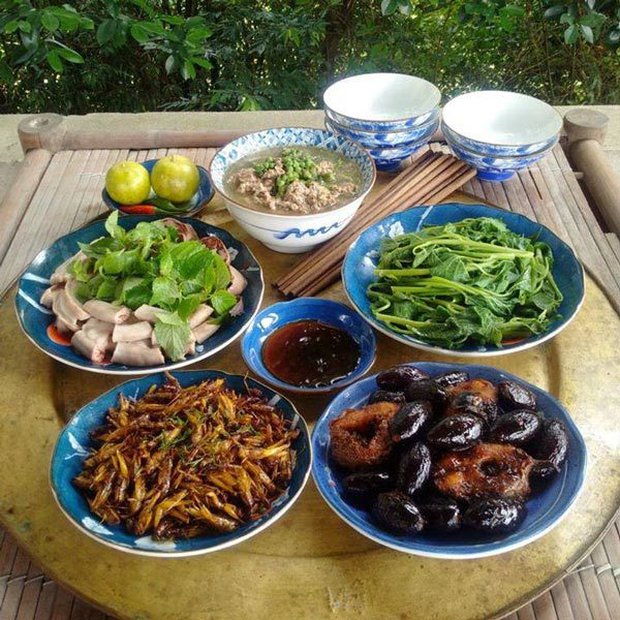 Ăn uống và sinh hoạt điều độ sẽ giúp bạn phòng chống nhiều loại bệnh nguy hiểm