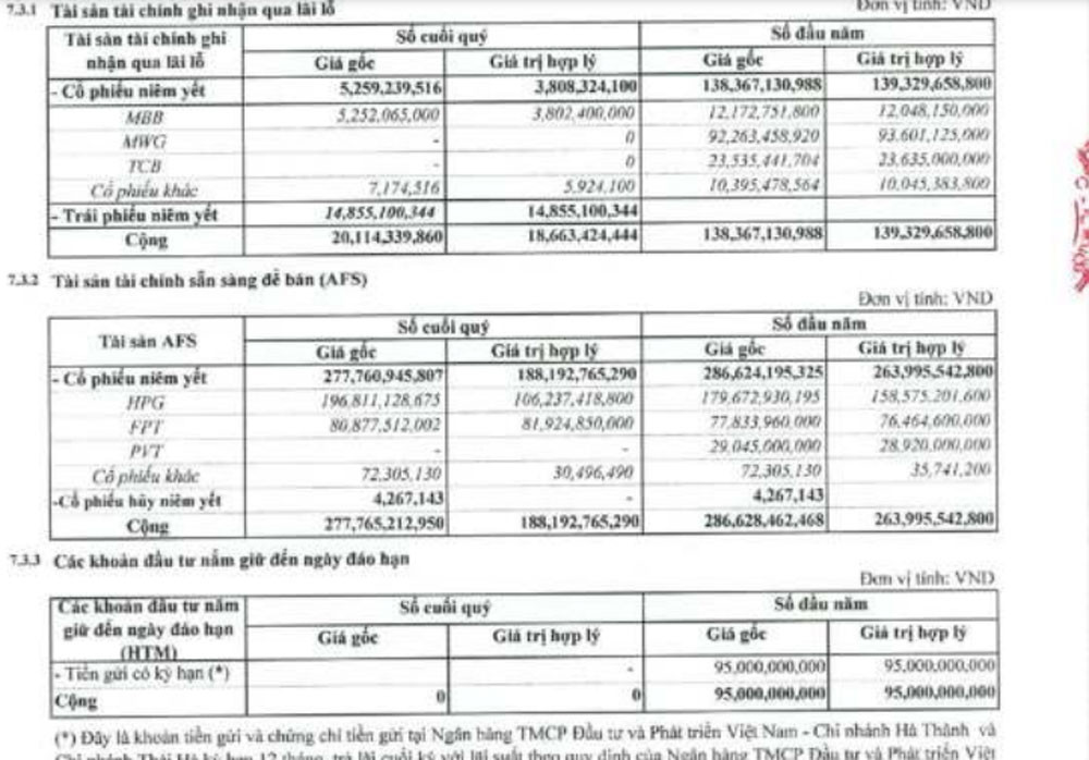 TVB đang gồng lỗ 91 tỷ đồng do đồng tư vào HPG.