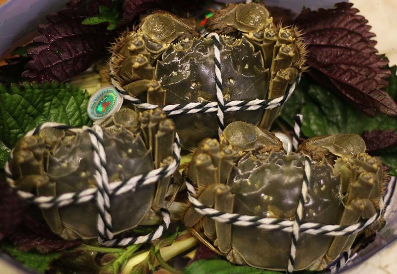  Cua lông Thương Hải đang được bán nhiều trên thị trường với giá đắt đỏ. (Ảnh: NVCC)