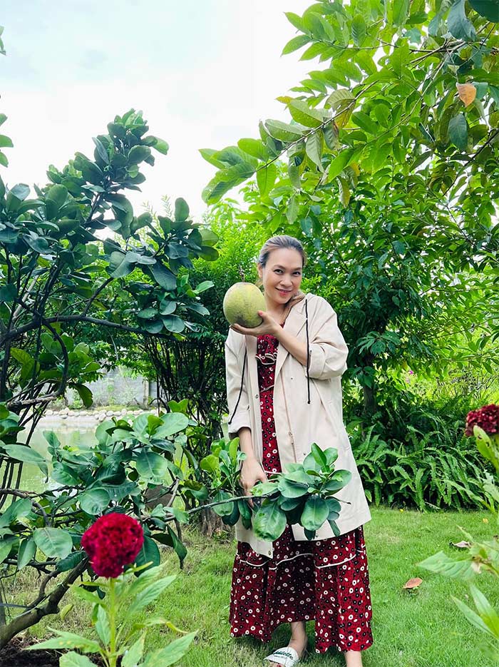 Mới đây, khi Mỹ Tâm khoe ảnh diện váy suông dài và khoác áo mỏng bên ngoài, nhiều người tưởng cô đang mang thai. Không chỉ Mỹ Tâm, nhiều mỹ nhân Việt dính tin đồn mang bầu chỉ vì váy áo phản chủ. (Ảnh: FBNV)