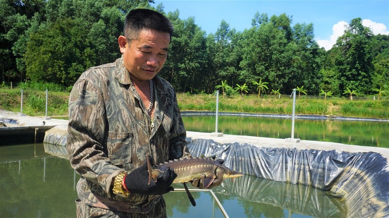 Ông Tân bên hồ nuôi cá giáp biên giới Việt Lào. (Ảnh: Thanh Quân)