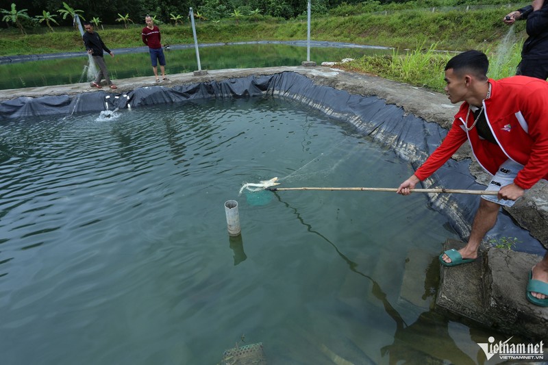 Ông Tân xây dựng trang trại rộng 2.000m2 ở vùng đất Phú Lâm để thử nghiệm nuôi cá tầm