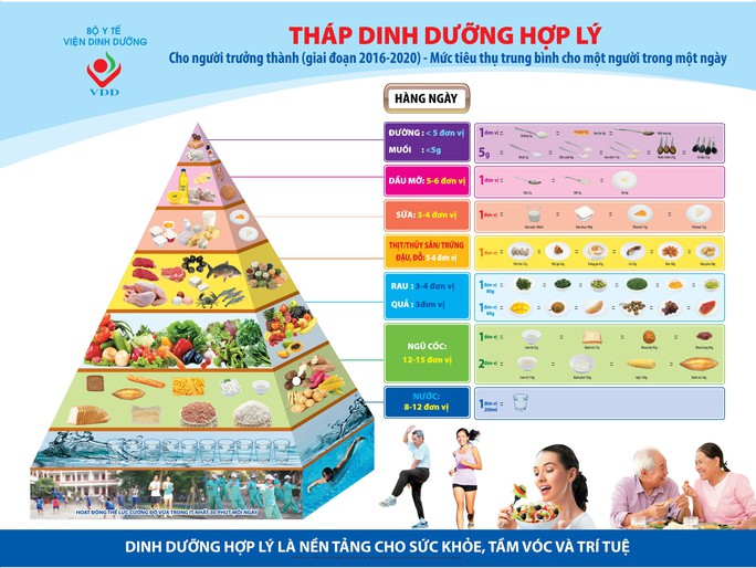 Tháp dinh dưỡng hợp lý dành cho người trưởng thành Việt Nam