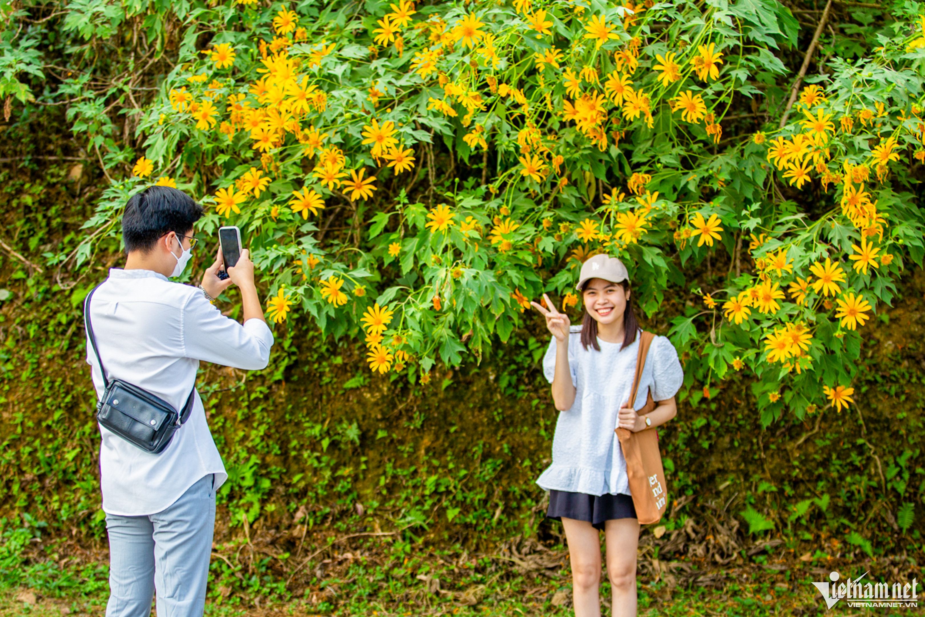“Dã quỳ” hay còn gọi là Cúc quỳ, Sơn quỳ, Hướng dương dại là một loài cây dễ mọc, sinh trưởng nhanh. Mỗi bông hoa thường có 13 cánh, tỏa tròn to khoảng 8 – 10 cm, cánh hoa màu vàng rực, hướng dương, nhụy căng tròn, tràn đầy sức sống, tỏ ý kiêu hãnh không bao giờ chịu khuất phục trước sự khắc nghiệt của thiên nhiên