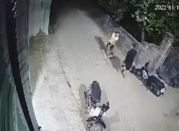 Sau khi nhắc nhở, anh H. cầm gậy ra ngăn cản