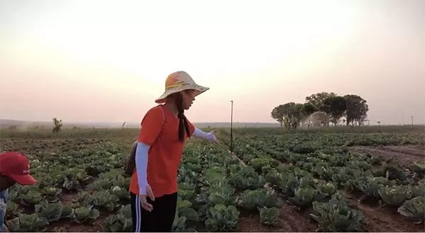 Hiện trang trại của Quang Linh bắt đầu hoạt động ổn định. Nhìn những luống bắp cải xanh tốt trên vùng đất khô cằn của châu Phi mới thấy Quang Linh và team đã bỏ nhiều tâm huyết đến mức nào.