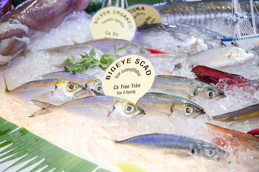 Xuất khẩu thủy sản của doanh nghiệp Việt Nam gặp khó do lạm phát tăng mạnh tại Mỹ và châu Âu. (Ảnh: VASEP)