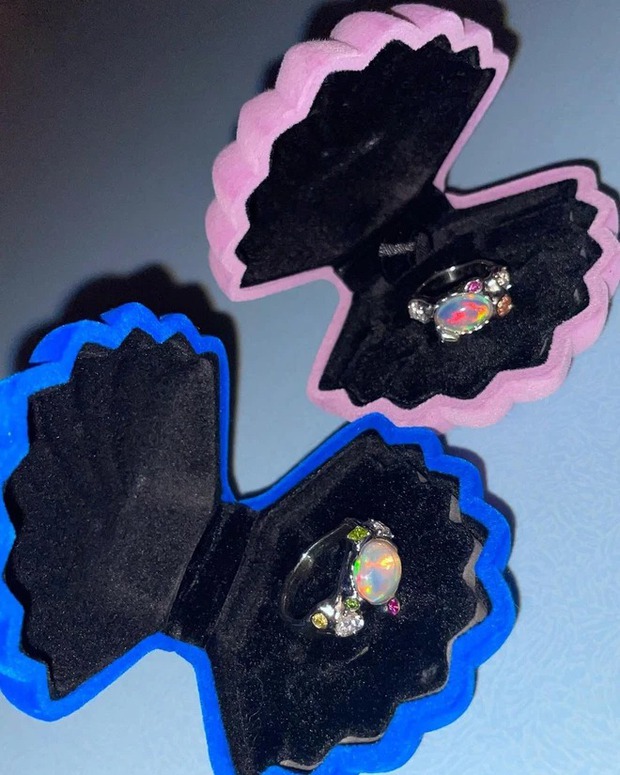 Chỉ mới tháng 2 vừa qua, cặp đôi công khai đính hôn