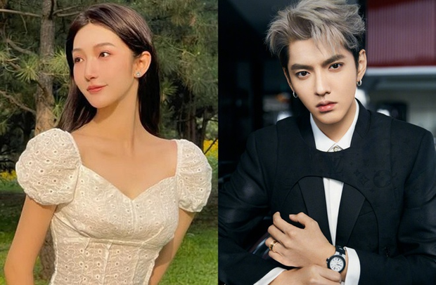 Bà được cho là người gián tiếp đẩy con trai vào tù bằng cách báo cảnh sát với ý muốn đưa hot girl Đô Mỹ Trúc vào tù vì tội tống tiền. Ngờ đâu cảnh sát lại điều tra ra hàng loạt tội ác của Ngô Diệc Phàm