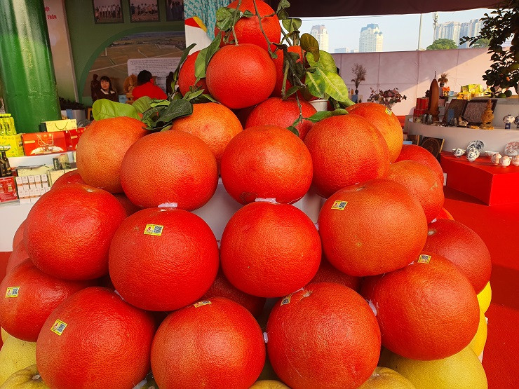 Bưởi có vỏ đỏ như son đẹp mắt. (Ảnh: Người Đưa Tin)