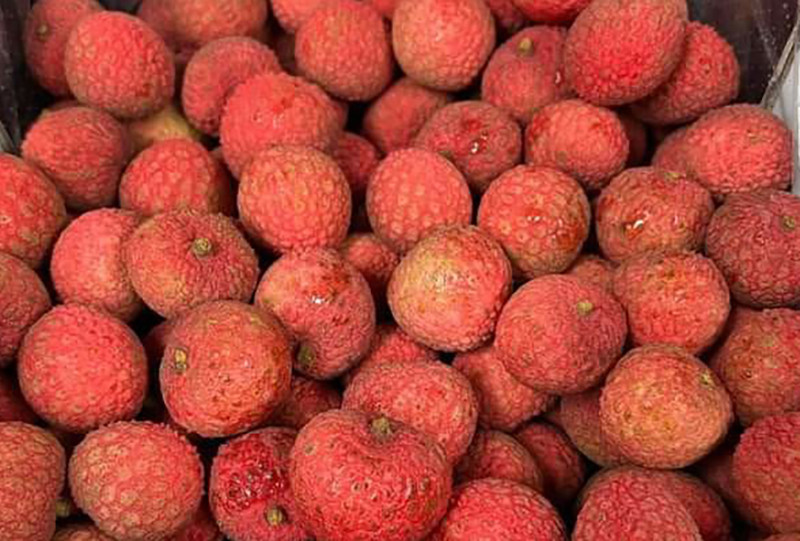 Vải thiều Úc được người tiêu dùng thích thú vì trái mùa (Ảnh: NVCC)