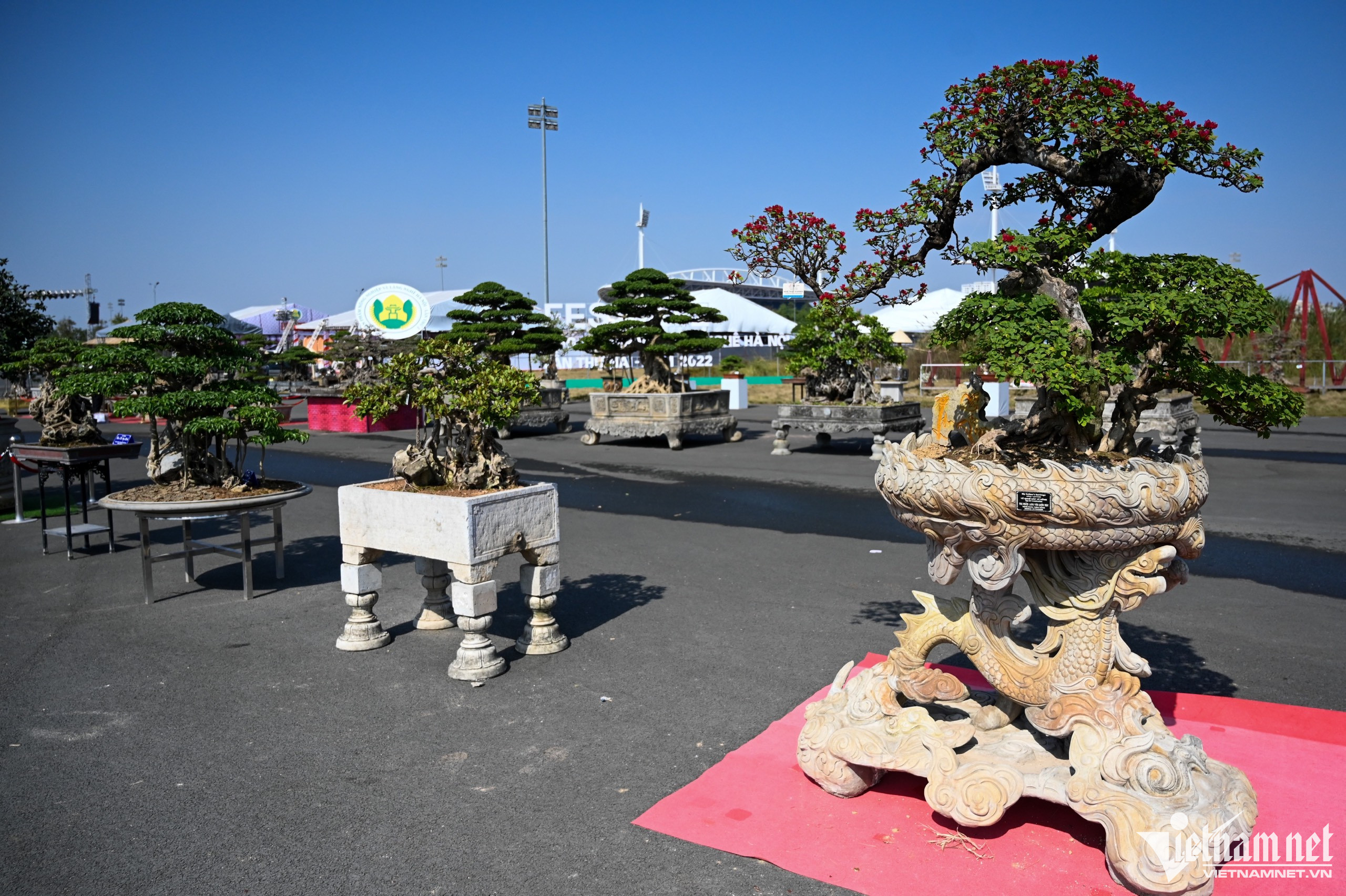 Triển lãm sinh vật cảnh - bonsai kéo dài đến ngày 25/12. Khách đến tham quan được chiêm ngưỡng những tinh hoa sáng tạo mà các nghệ nhân đã giành nhiều thời gian để hoàn thành. 