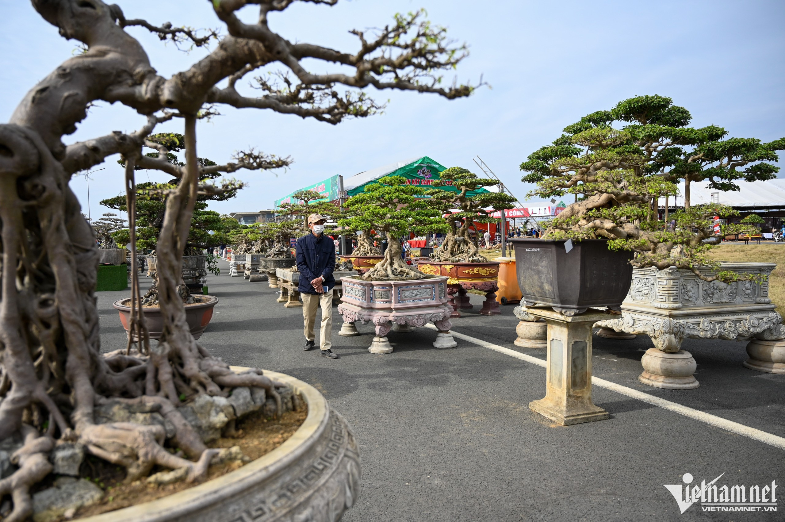 Festival Sản phẩm nông nghiệp và Làng nghề Hà Nội 2022, do Sở Nông nghiệp và Phát triển nông thôn Hà Nội đang tổ chức tại khu vực Trường đua F1 cũ (quận Nam Từ Liêm). Tại đây có nhiều tác phẩm sinh vật cảnh - bonsai thu hút sự chú ý của khách tham quan.