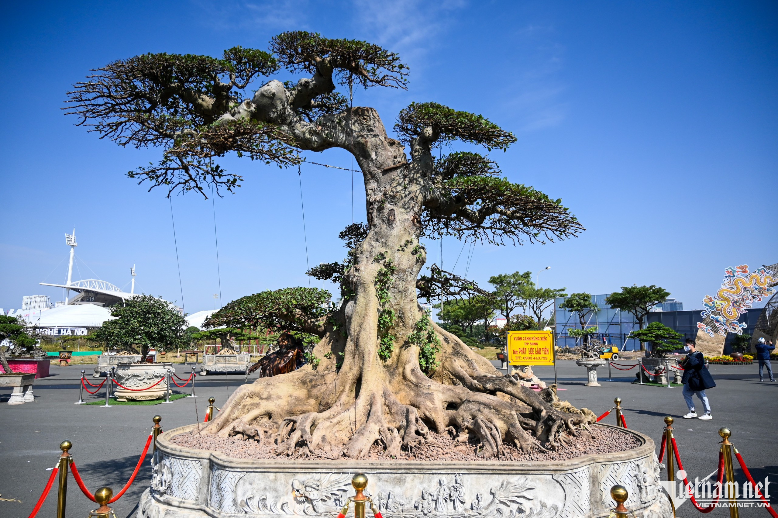 Những cây cảnh bonsai ở đây có loại giá lên tới vài trăm triệu đến gần 10 tỷ đồng. 