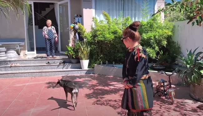 Sau khi lui về ở ẩn, Siu Black chọn quay về Tây Nguyên làm rẫy, nuôi heo.