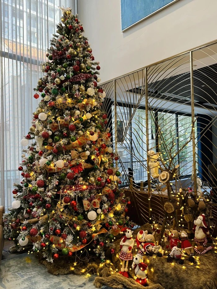 Gia đình Cường Đô La - Đàm Thu Trang cũng có 