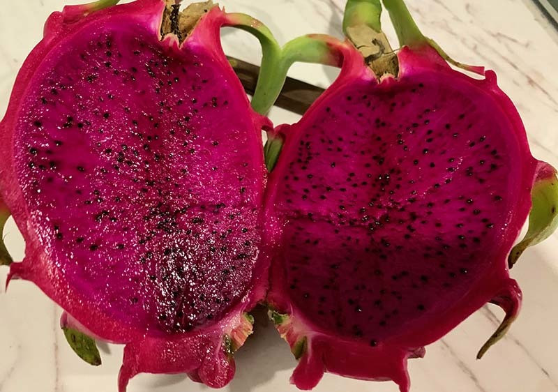 Giá thanh long tại Bình Thuận và Tiền Giang đang tăng mạnh (Ảnh: Tâm An)