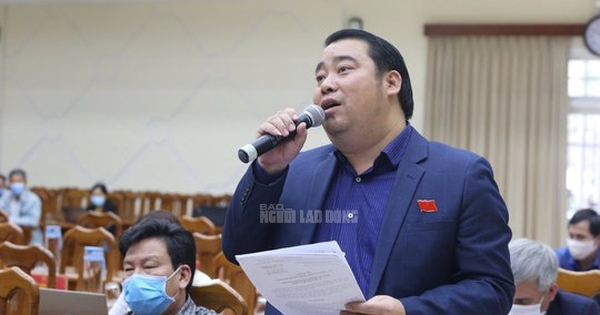 Ông Nguyễn Viết Dũng phát biểu tại một kỳ họp HĐND tỉnh Quảng Nam