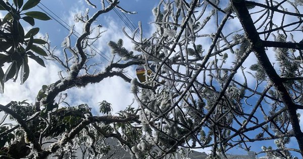 Bắc Bộ đón rét hại, có khả năng xảy ra mưa tuyết và băng giá trước Tết Nguyên đán