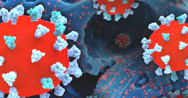 Virus SARS-CoV-2 - Ảnh: NIAID