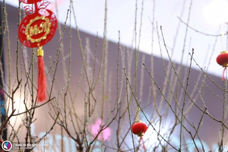 Cành đào chỉ bằng đầu đũa, không có hoa, có lá hay lộc đào.