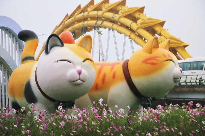 Có tổng cộng có 9 vị trí trang trí hoa xuân, điện chiếu sáng với tổng mức đầu tư 14,5 tỉ đồng. Tâm điểm là tại vỉa hè đường Bạch Đằng