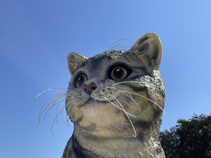 Linh vật mèo ở Quảng Trị được cộng đồng mạng khen ngợi