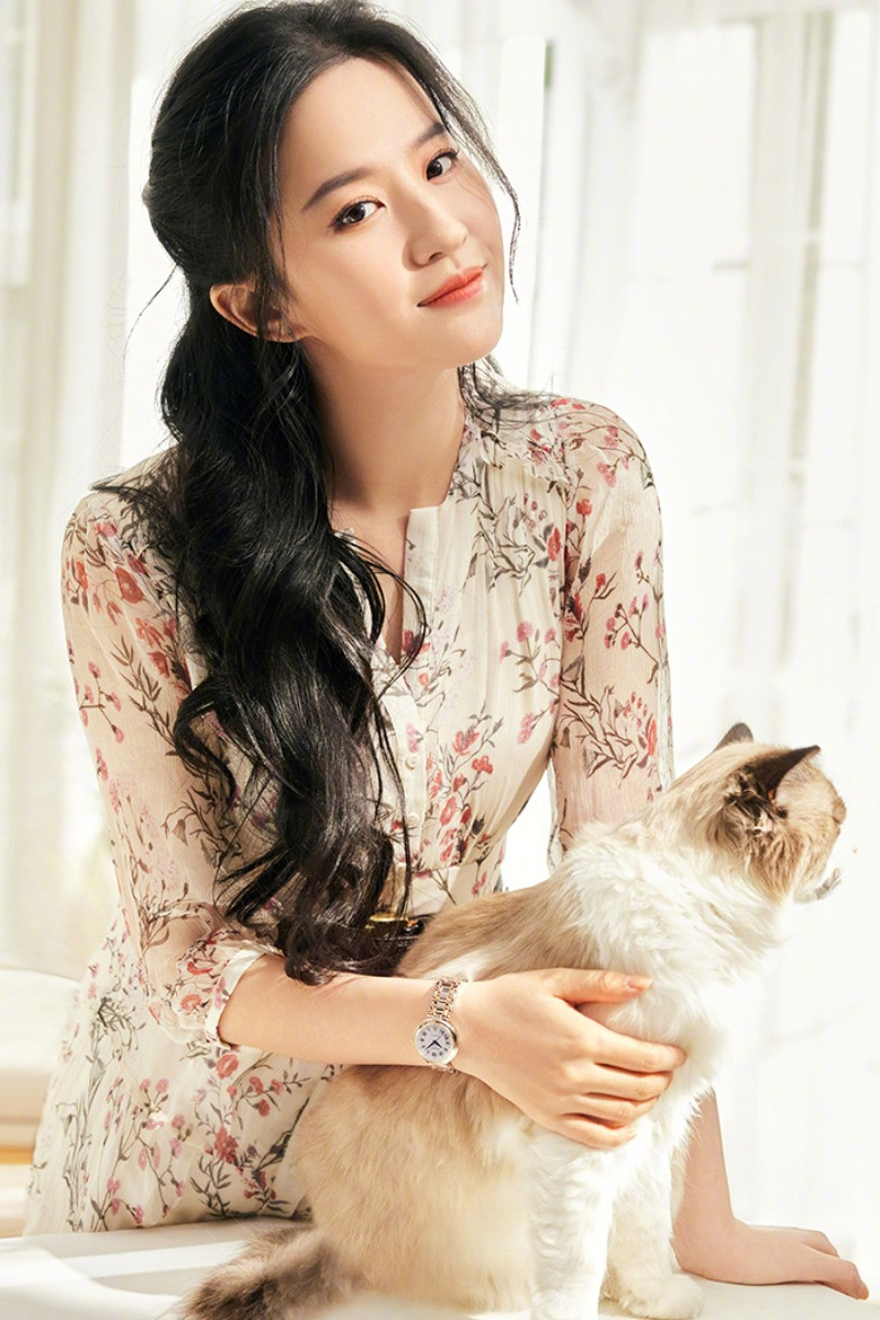 Lưu Diệc Phi sống độc thân cùng đàn mèo.